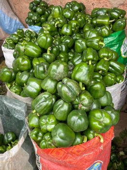 green pepper - Galandy - Nigeria