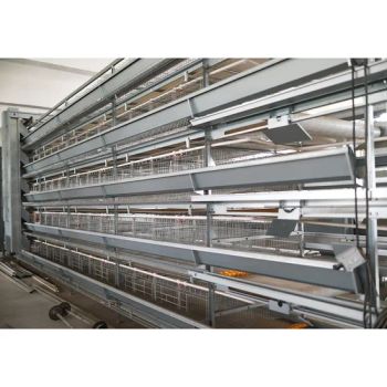 Chicken Egg Farm Equipment Layer Battery Cages Laying Hens Poultry Cage - Henan Hengyin Automation Technology Co., Ltd. - China