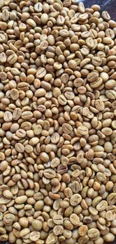 Coffee Beans Arabica and Robusta - Hando Global - Indonesia