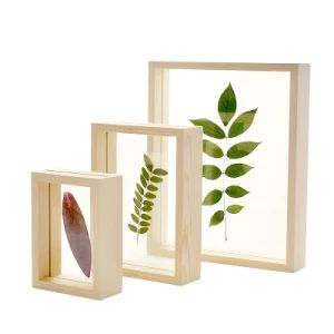 Double-Sided Visual Picture Frame, 3D Wooden Picture Frame, Specimen Frame - Fuzhou August Trade Co., Ltd. - China