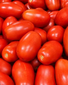 tomato - Sharbatly Fruits - Saudi Arabia