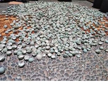 Eggshell powder - PT. Tannesia Riziq Jaya - Indonesia