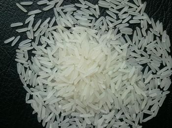 Bulk Fragrant Rice Premium Harvest Carefully Selected Grains For Delicious Meals Family Dinners - TRADECENTRIC LLC - United States