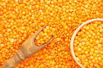 Premium Export Quality Yellow Lentils (Whole/Split) — Bulk Supply for Food Processing & Retail from Trapani Global Trade B.V. Premium Export Quality Yellow Lentils (Whole/Split) — Bulk Supply for Food Processing & Retail - Trapani Global Trade B.V. - United States