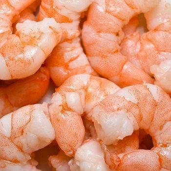 Frozen  Shrimp IQF Headless Skinless Box Packaging 51/70 Size Fresh Whole Natural Color HACCP Certified - TRADECENTRIC LLC - United States