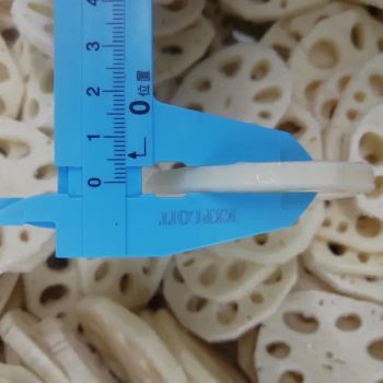Frozen Lotus Root Whole Slice IQF White 1Y 24M GradeA MOQ100 Color White Origin China Type Lotus Root Standard Grade a Specification Whole - Shanxi Jiemaotong Import and Export Co., Ltd - China