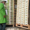 Product – product photo, Organic Avocado products found from trusted suppliers, wholesalers, manufacturers & exporters Listing