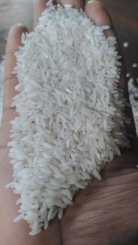 Rice - Thulasi International Pvt Ltd - India