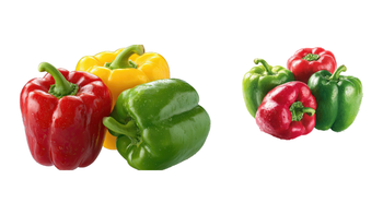 Green Bell Pepper | G.A.P Certified - Experts Of Ceylon Exports - Sri Lanka