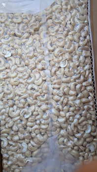 Shelled Cashew Kernels - Ivory Coast Origin - ALLOGO LIMITED - China
