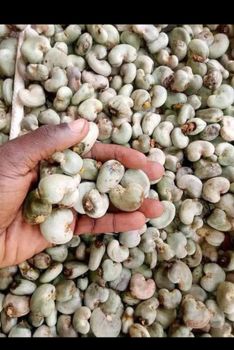 Cashew nuts Degree of Processing Natural, Roasted - Nassdeal - Benin