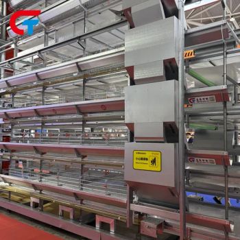 Hot Galvanizing Good Quality H Type Farming Poultry Battery Cage - Wulian Changtai Intelligent Technology Co.. Ltd. - China