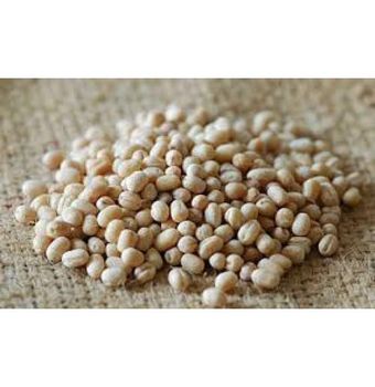 URAD DAL - Whole White from Shekina International URAD DAL - Whole White - Shekina International - India