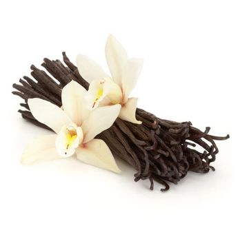 Organic Wholesale vanilla beans for sale -  CALIPSO POLSKA SP Z OO  - Poland
