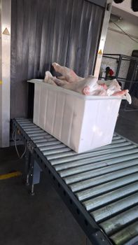 Whole carcass beef Origin Kenya Storage Temperature -18c Minimum Order Quantity 1 Tone Quality Grade Kenya First Choice Packaging Carcass Clothing Cover - Dikah Farms & Export - Kenya