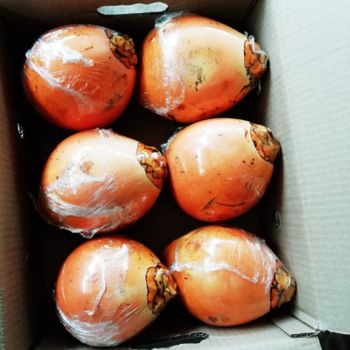 King coconuts Flavor Naturally Sweet Intended Use Retail & Hospitality Electrolyte Content Rich In - WS Exporters - Sri Lanka