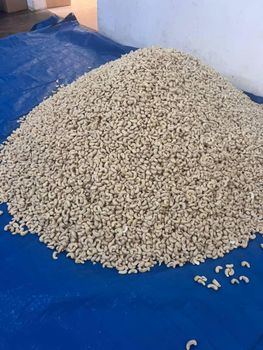 Cashewnut kernels – product photo, Fried Cashew Nuts products found from trusted suppliers, wholesalers, manufacturers & exporters Listing