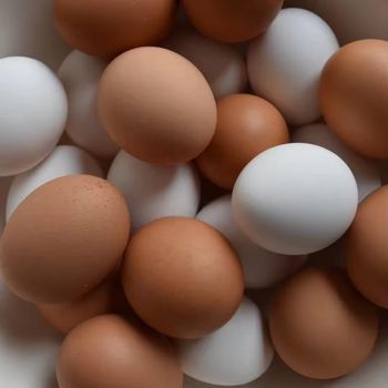 Premium Fresh Table Chicken Eggs With Verified Source Chicken Eggs Packed For Reliable Export And Bulk Buyers - THE GREEN INTERNATIONAL LIMITED - Tanzania