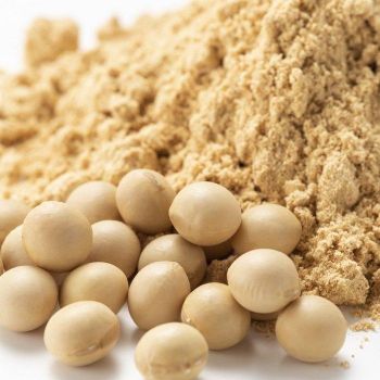 Organic High-Protein Non-GMO Soybean Meal Fresh Soya Bean Meal for Animal Feed Grade One 50kg Budget-Friendly - TRADECENTRIC LLC - United States