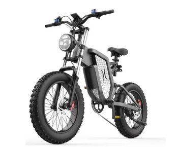 Black, Silver, or Other Colors Scooter Bicycle with 48V/15 20 25ah Optional Electric Vehicle Electric-Bike - Dongguan Xiao Niu Niu Electronic Technology Co., Ltd. - China