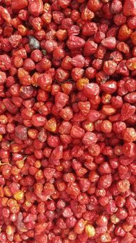 Round Red Chilli from KKS Foods (Private) Limited Round Red Chilli - KKS Foods (Private) Limited - Pakistan