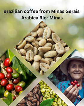 Green Coffee Arabica rio minas - Arbay Exports - Brazil