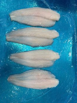 Pangasius Fillet - Van Duc Tien Giang Food Export Company - Vietnam