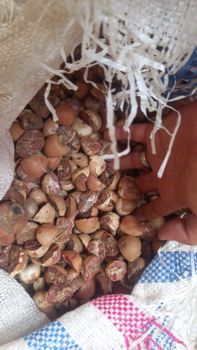 トップス ENNOY Crew Sweat Set Up \