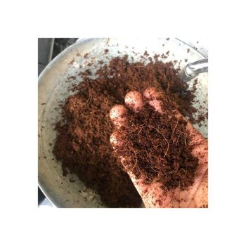 Coconut peat offered at discount price for agricultural and horticultural use - Medcompex Gmbh - United Kingdom