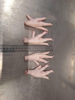 frozen chicken paw - Mercathen - Uzbekistan