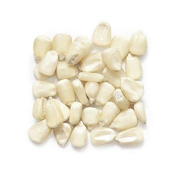 Maize / Corn from ADWA Solutions LLC Maize / Corn - ADWA Solutions LLC - United States