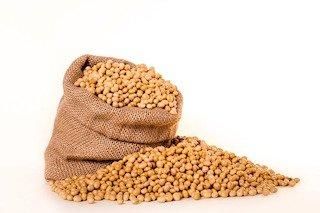 Soybeans - Lawana and Sons Supplies - South Africa