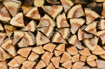 Top quality Premium Beech Firewood for Clean Long Burning Performance suitable for Indoor and Outdoor Heating Solutions Buy now Fast Delivery option Oak and Beech Firewood for Energy Premium Wood from wood traders Top quality Premium Beech Firewood for Clean Long Burning Performance suitable for Indoor and Outdoor Heating Solutions Buy now Fast Delivery option Oak and Beech Firewood for Energy Premium Wood - wood traders - Poland