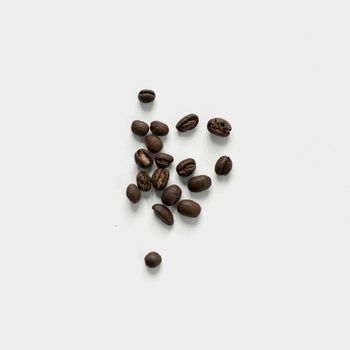Premium Robusta Coffee Bean Export Quality Robusta Coffee Bean Bulk Supply For Roasters Traders And Wholesale Buyers - THE GREEN INTERNATIONAL LIMITED - Tanzania