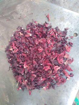 hibiscus flowers dried - el baruch llc - Nigeria
