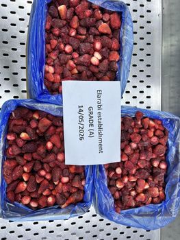 IQF Frozen Strawberry high FLAV WITHOUT SUGER GRADE (A - B - AB) – product photo, Recommend Fallback
