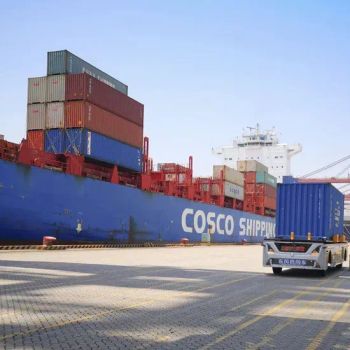 Sea Freight Ocean Freight From Shenzhen to Banjul Sea Port - SDI LOGISTICS CO., LIMITED - China