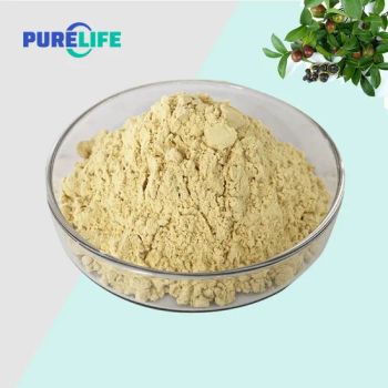High Protein Content CAS 8047 15 2 Camellia Seed Extract Tea Saponin - Purelife Biotech Co., Ltd. - China