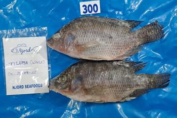 Frozen Food - Njord seafood  - Mozambique