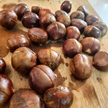 Naturally Processed Chestnuts Offering 97% Premium Kernel Content For Food Ingredient And Export Supply Demand - TOSOH INTERNATIONAL - South Africa