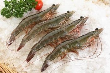 Vannamei Shrimp - AGOFISH - Vietnam