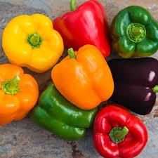 Red and Green Bell Pepper Products Color Green, Multicolour, Orange, Other, Red, Yellow Degree of Processing Fresh, Frozen, Grilled, Other, Pickled - MEME GROUP COMPANY LTD - Cameroon