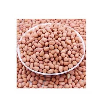 Premium Peanuts bulk supply wholesale affordable price fresh bulk - HIGHPROFILE AGRICULTURE SERVICES LIMITED - Tanzania