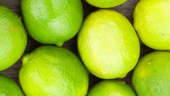 Fresh lemons Family Rutaceae Common Name Lemon Ph Range 2.0 – 3.0 Fiber Per 100g 2.8 G Moisture Content ~88% Sugars Per 100g 2.5 - Balingi Trading Company (PTY) Ltd - South Africa