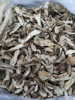 Dried Boletus Edulis - Ruiqiu Foods Co., Ltd - China