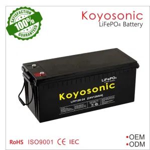 Un38.3 24V 120ah Lithium Battery 1c LiFePO4 Solar Batteries Pack for Storage / Marine and EV Applications - Koyosonic Power Co., Ltd. - China