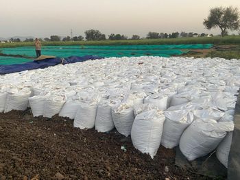 Vermicompost - BioSoil Supreme - India