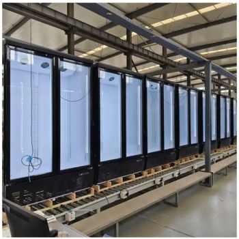 Glass Door Display Refrigerators 1023L Commercial Upright Vertical Fridge with 2 Doors - Qingdao Mox Electrical Appliance Co., Ltd - China