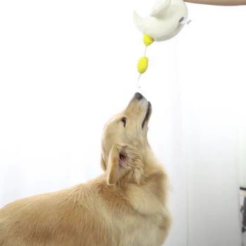 Sniffing Dog Toys Puzzle Decompression Leakage Training Pet Plush Toys Pet Toys - GOOD SELLER CO., LTD. - China
