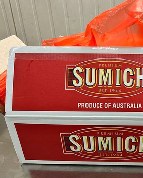 Naturally Crisp, Vibrantly Fresh Carrots 10kg Packs Premium Jack Rabbit Orange Carrot For Sale from Sosa Merchant Solutions Naturally Crisp, Vibrantly Fresh Carrots 10kg Packs Premium Jack Rabbit Orange Carrot For Sale - Sosa Merchant Solutions - Austria